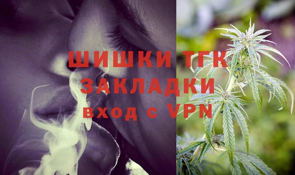 индика Алексин
