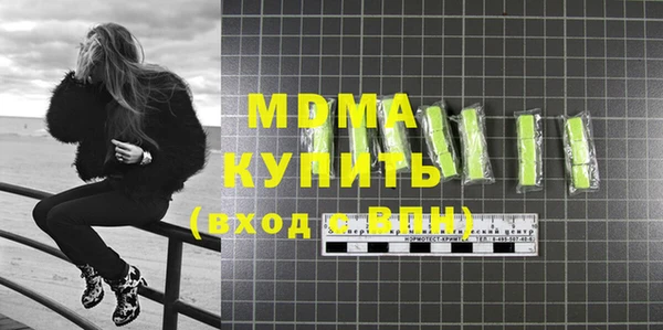 индика Алексин