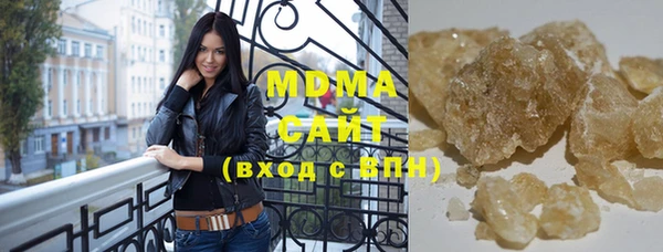 индика Алексин