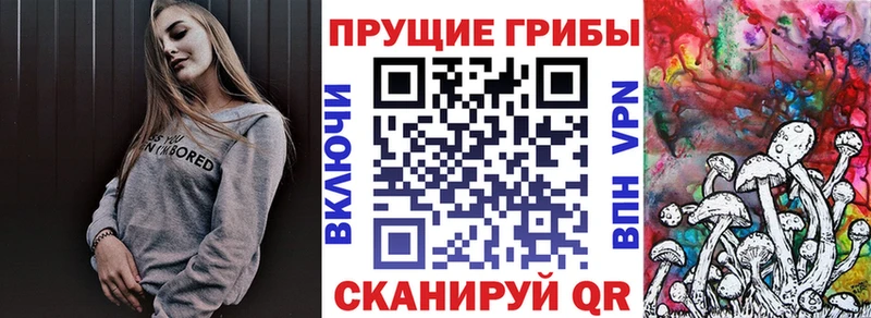 Галлюциногенные грибы ЛСД Сухой Лог